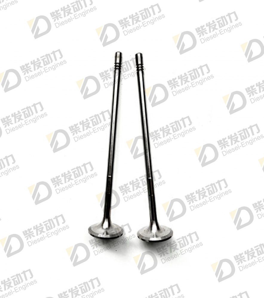 Inlet valve 20528113 